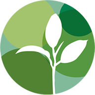 Icône de l'application